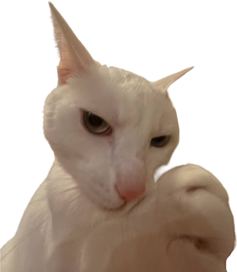 supbbg emote for Discord