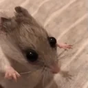 aintnoway emote for Discord