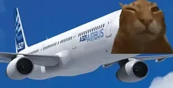 airbuhs emote for Discord