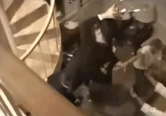 AINTGREENDAY emote for Discord