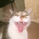 AINTNOWAY emote for Discord