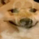 AINTBUENOWAY emote for Discord