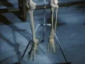 AINTFactory emote for Discord