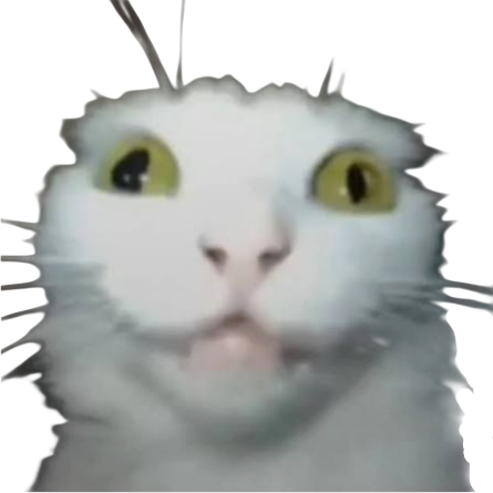 crazykitty emote for Discord