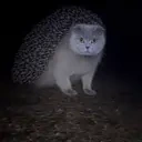 aicat emote for Discord