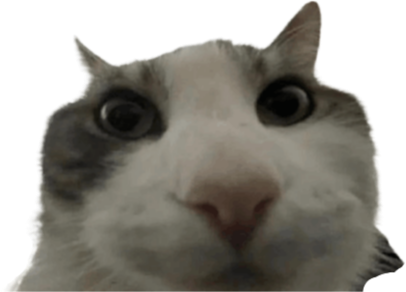 bruh emote for Discord