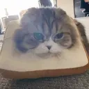 Aiko emote for Discord