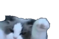 AikoVIBE emote for Discord