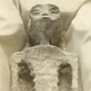 AINTNOWAYLIEN emote for Discord