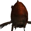 AirfishHUH emote for Discord