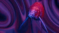 AirFishWideVibe emote for Discord