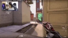 Aim emote for Discord