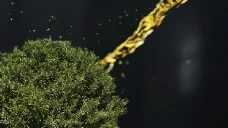 AJhiking emote for Discord