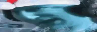 ajatest emote for Discord