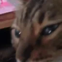 aJAM emote for Discord