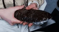 AkameSchmeat emote for Discord