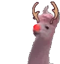 AKDJvibe emote for Discord