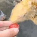 akyJahoda emote for Discord