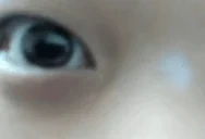 akaSearch emote for Discord