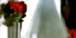 akipo emote for Discord