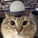 ALERT emote for Discord