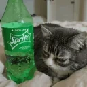 Alsprite emote for Discord