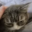 AlrightAnswer emote for Discord