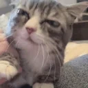 AlrightWave emote for Discord