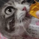 AlrightConsume emote for Discord