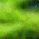 AlienRave15 emote for Discord