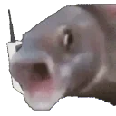 ALOOOO emote for Discord