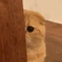 alccooLurk emote for Discord