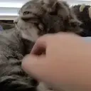 AlrightStop emote for Discord