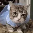 AlrightGive emote for Discord