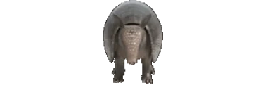 Alexandre emote for Discord