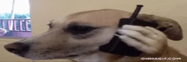 alo emote for Discord