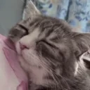 AlrightSleep emote for Discord