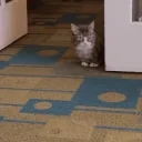 AlrightArrivesToGetPetted emote for Discord