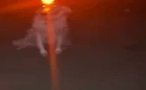 Alarm emote for Discord