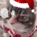 Alright emote for Discord