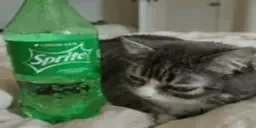 AlspriteW emote for Discord