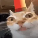 alerm emote for Discord