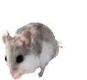 alabamabeachmouseJAM emote for Discord