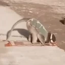 alhamdulillah emote for Discord