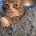 AlrightChill emote for Discord