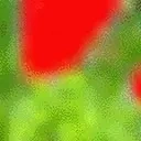 AlienRave47 emote for Discord