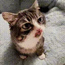 AlrightAsk emote for Discord