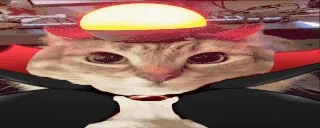 AlertTheCatStartsItsEng emote for Discord