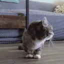 AlrightLeave emote for Discord