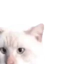 alfredoJAM emote for Discord